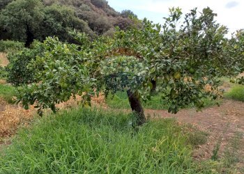 Vista delle montagne - Terreno agricolo C/da Mazzarronello, Chiaramonte Gulfi - foto 11