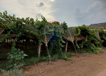 Giardino - Terreno agricolo C/da Mazzarronello, Chiaramonte Gulfi - foto 16