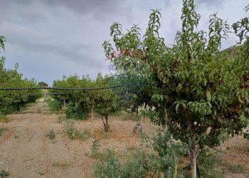 Giardino - Terreno agricolo C/da Mazzarronello, Chiaramonte Gulfi - foto 22