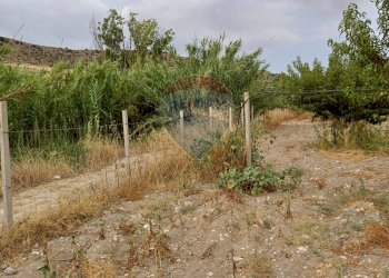 Giardino - Terreno agricolo C/da Mazzarronello, Chiaramonte Gulfi - foto 23