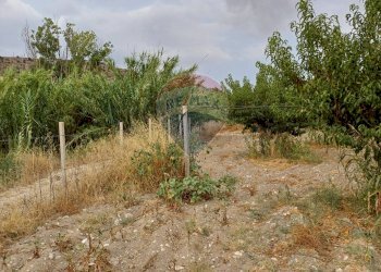 Giardino - Terreno agricolo C/da Mazzarronello, Chiaramonte Gulfi - foto 24