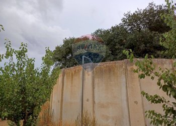 Giardino - Terreno agricolo C/da Mazzarronello, Chiaramonte Gulfi - foto 26