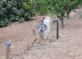 Giardino - Terreno agricolo C/da Mazzarronello, Chiaramonte Gulfi - foto 29