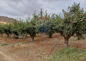 Giardino - Terreno agricolo C/da Mazzarronello, Chiaramonte Gulfi - foto 31