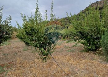 Giardino - Terreno agricolo C/da Mazzarronello, Chiaramonte Gulfi - foto 32