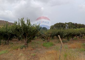 Giardino - Terreno agricolo C/da Mazzarronello, Chiaramonte Gulfi - foto 33