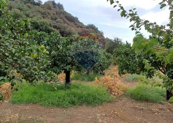 Giardino - Terreno agricolo C/da Mazzarronello, Chiaramonte Gulfi - foto 35