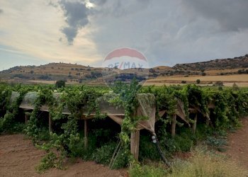 Vista delle montagne - Terreno agricolo C/da Mazzarronello, Chiaramonte Gulfi - foto 38