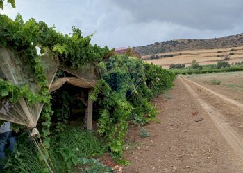 Vista delle montagne - Terreno agricolo C/da Mazzarronello, Chiaramonte Gulfi - foto 39