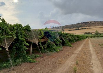 Vista delle montagne - Terreno agricolo C/da Mazzarronello, Chiaramonte Gulfi - foto 43