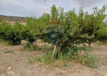 Giardino - Terreno agricolo C/da Mazzarronello, Chiaramonte Gulfi - foto 45