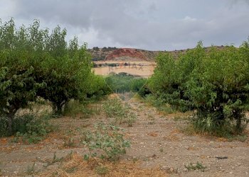 Vista delle montagne - Terreno agricolo C/da Mazzarronello, Chiaramonte Gulfi - foto 46