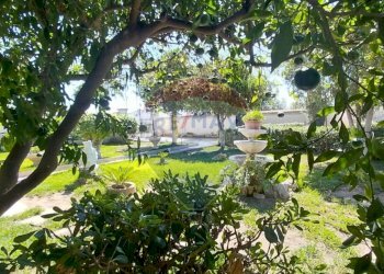 Giardino - Villa via del Sedano, Ispica - foto 16