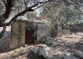Giardino - Rustico Contrada Rassabia  - Frigintini, Ragusa - foto 4