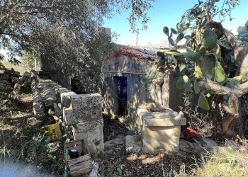 Giardino - Rustico Contrada Rassabia  - Frigintini, Ragusa - foto 7