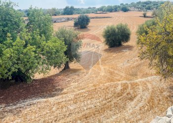 Vista delle montagne - Rustico strada comunale  -Rampolo -Crucià, Ragusa - foto 10