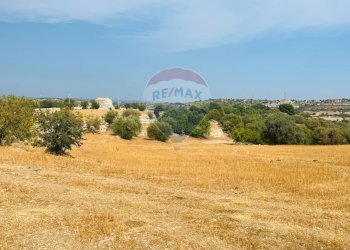 Giardino - Rustico strada comunale  -Rampolo -Crucià, Ragusa - foto 12