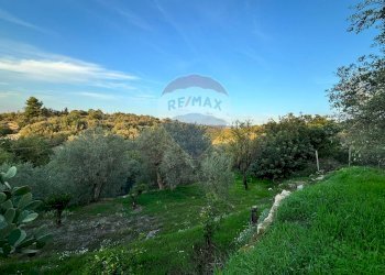 Giardino - Villa C/da Colombo
 
2, Chiaramonte Gulfi - foto 23