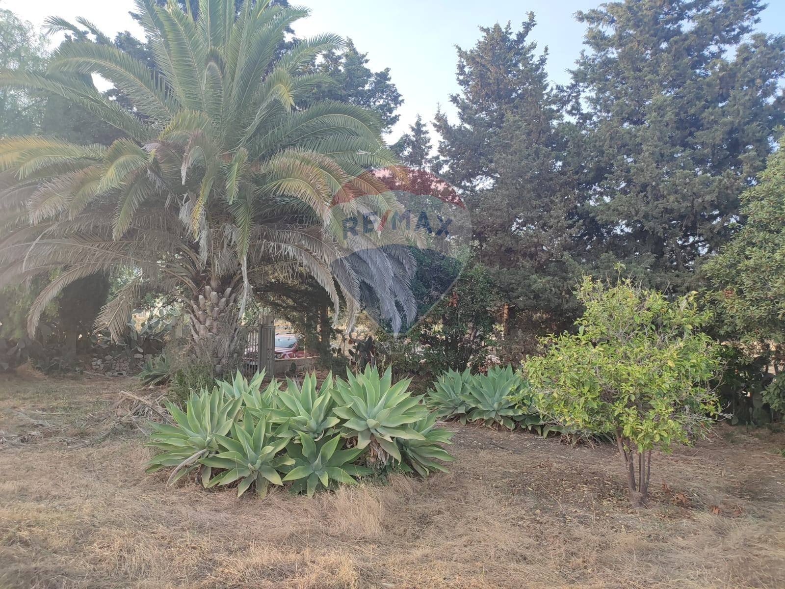 Giardino - Villa contrada Cozzo Ucci, Scicli - foto 3