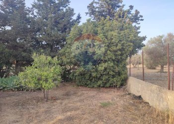 Giardino - Villa contrada Cozzo Ucci, Scicli - foto 7