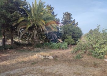 Giardino - Villa contrada Cozzo Ucci, Scicli - foto 8