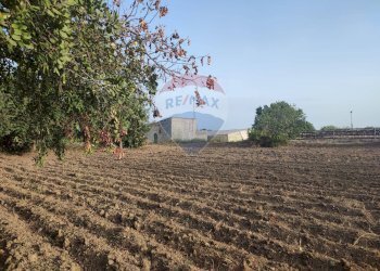 Giardino - Villa contrada Cozzo Ucci, Scicli - foto 10