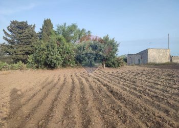 Giardino - Villa contrada Cozzo Ucci, Scicli - foto 13