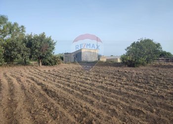 Casa all\'aperto - Villa contrada Cozzo Ucci, Scicli - foto 14