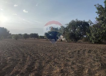 Giardino - Villa contrada Cozzo Ucci, Scicli - foto 15