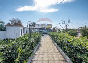 Giardino - Villa contrada magazzinazzi - Renna, Ragusa - foto 9