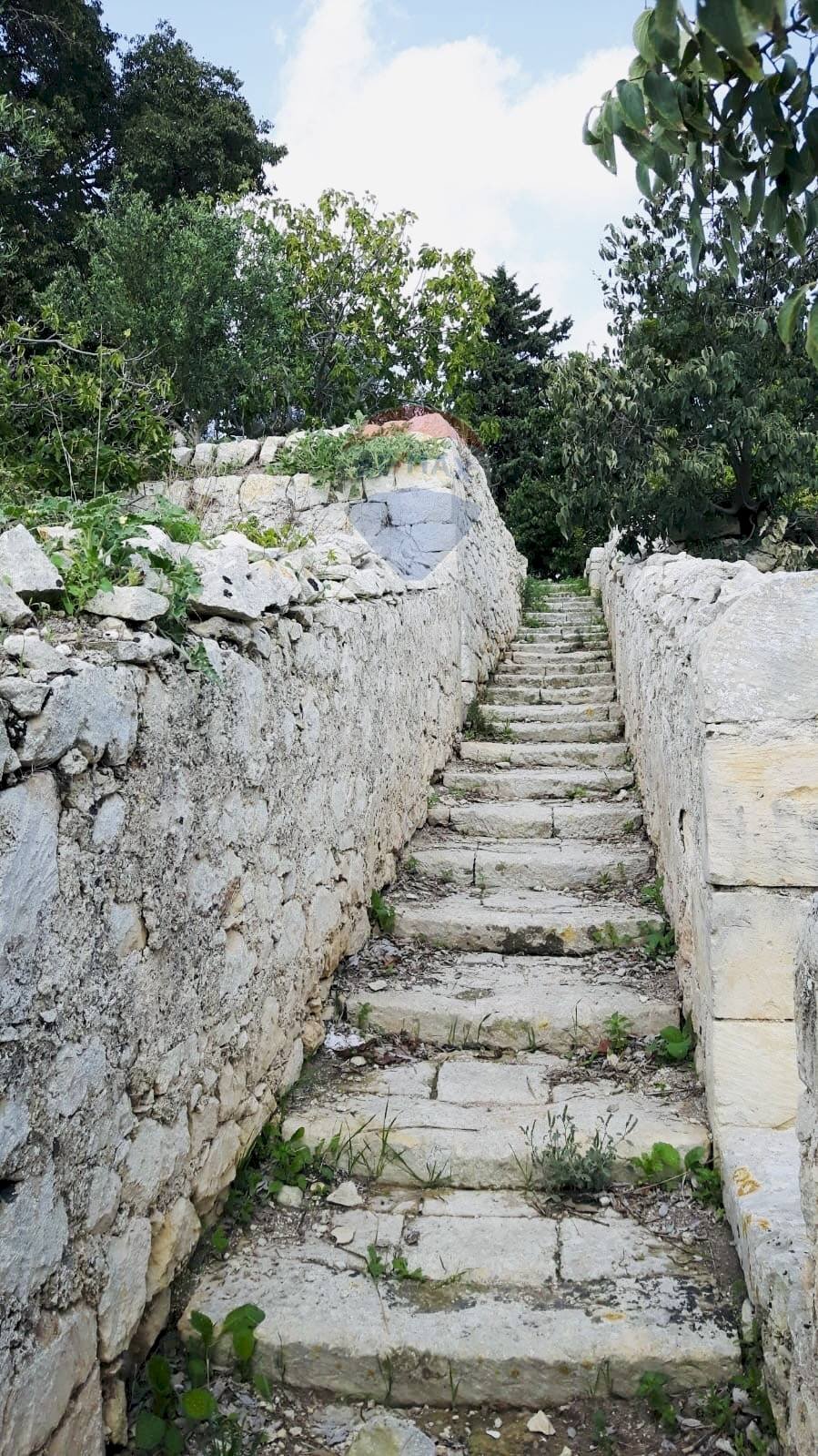 Scale - Rustico C.da San Giacomo - Fattoria Musso, Ragusa - foto 3