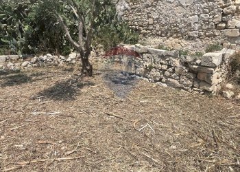 Giardino - Rustico C.da San Giacomo - Fattoria Musso, Ragusa - foto 28