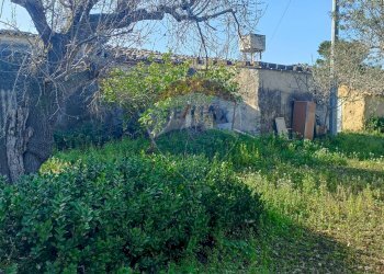 Giardino - Rustico contrada  mandredonna
 
snc, Chiaramonte Gulfi - foto 3