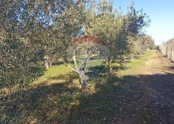 Giardino - Rustico contrada  mandredonna
 
snc, Chiaramonte Gulfi - foto 6