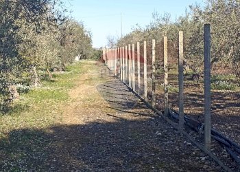 Giardino - Rustico contrada  mandredonna
 
snc, Chiaramonte Gulfi - foto 7