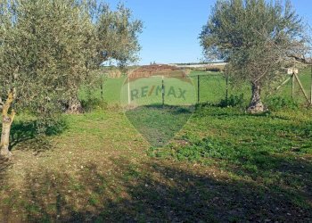 Giardino - Rustico contrada  mandredonna
 
snc, Chiaramonte Gulfi - foto 10