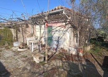 Giardino - Rustico contrada  mandredonna
 
snc, Chiaramonte Gulfi - foto 13