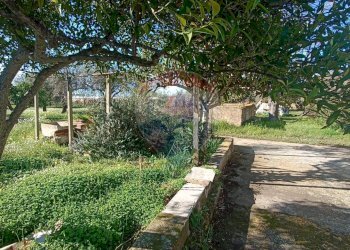 Giardino - Rustico contrada  mandredonna
 
snc, Chiaramonte Gulfi - foto 17