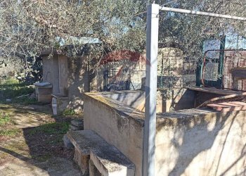 Giardino - Rustico contrada  mandredonna
 
snc, Chiaramonte Gulfi - foto 28