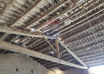 Cantina - Rustico Ragusa - foto 23