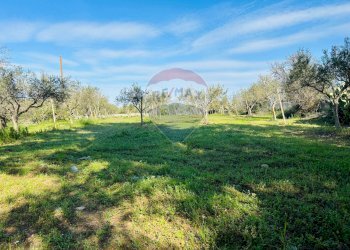 Giardino - Villa contrada cifali, Chiaramonte Gulfi - foto 5
