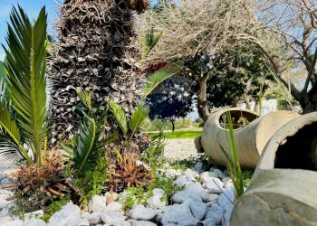 Giardino - Villa contrada cifali, Chiaramonte Gulfi - foto 17