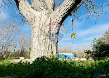 Vista dell\'acqua - Villa contrada cifali, Chiaramonte Gulfi - foto 40