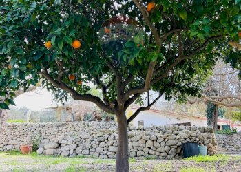 Giardino - Villa contrada cifali, Chiaramonte Gulfi - foto 56