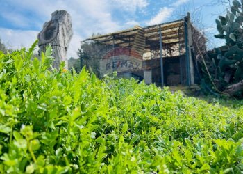 Giardino - Villa contrada cifali, Chiaramonte Gulfi - foto 59