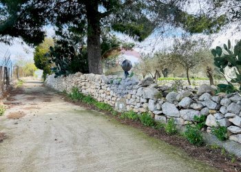 Giardino - Villa contrada cifali, Chiaramonte Gulfi - foto 62