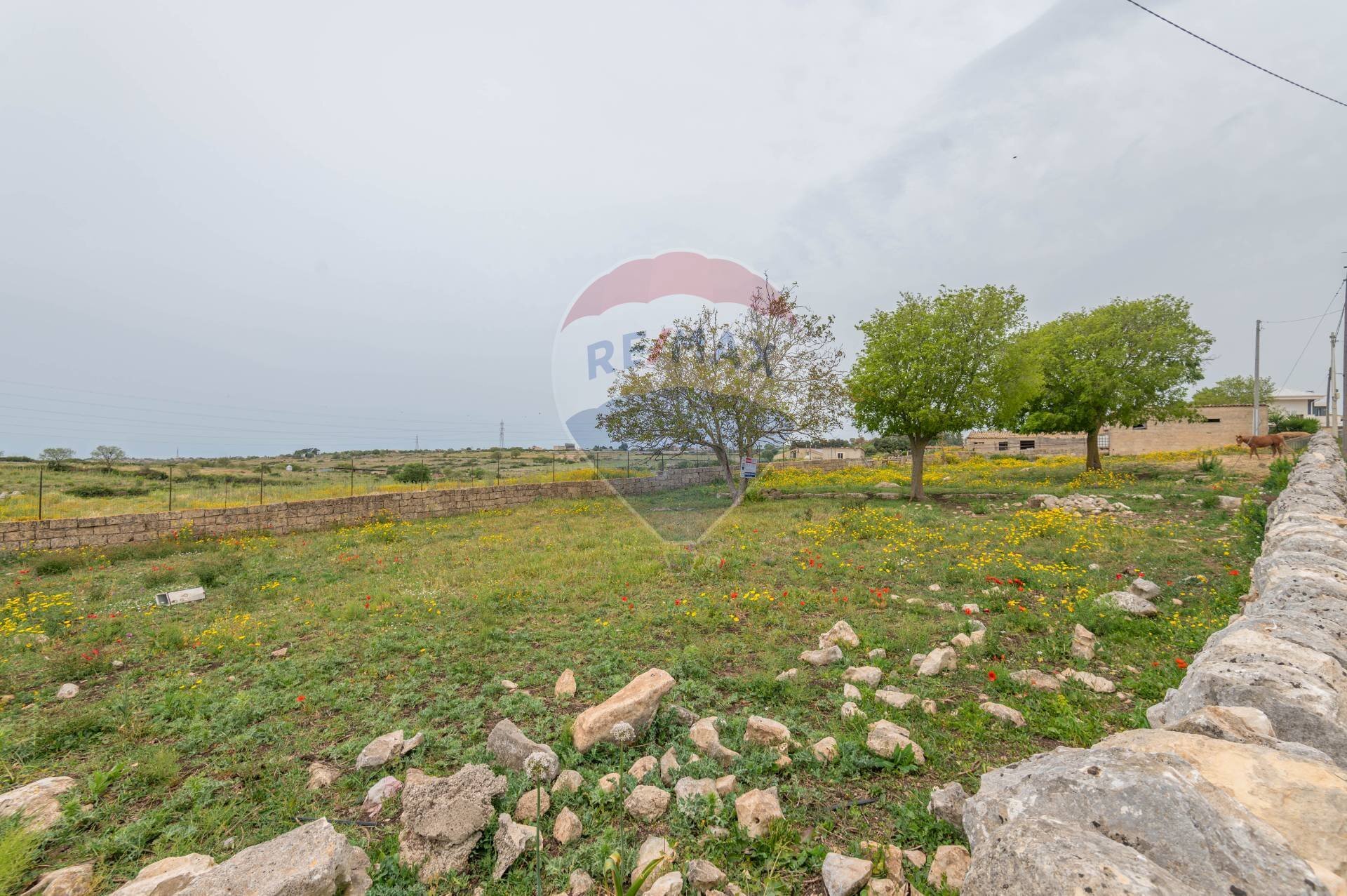 Giardino - Agricultural land Ragusa - photo 3