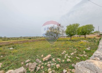 Giardino - Agricultural land Ragusa - photo 3