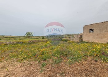 Giardino - Agricultural land Ragusa - photo 6