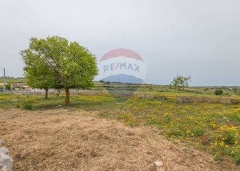 Giardino - Agricultural land Ragusa - photo 12